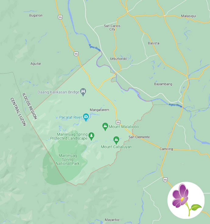 Tin's Flower Shop Flowers Delivered to Mangatarem in Pangasinan